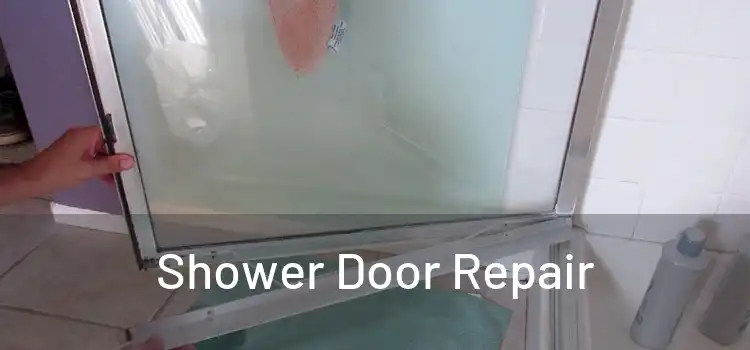  Shower Door Repair 